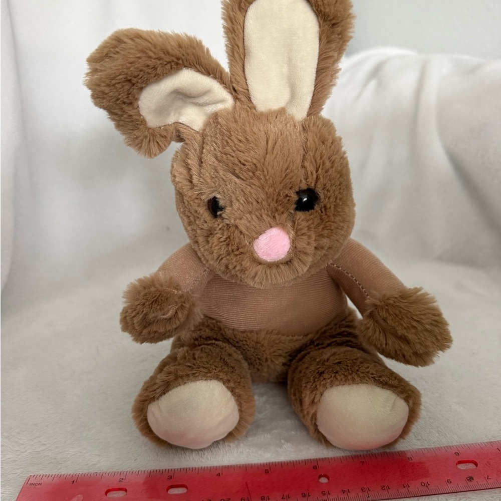 Brown Plush Bunny Toy
